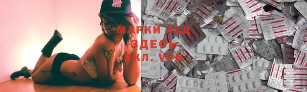 дмт Бородино