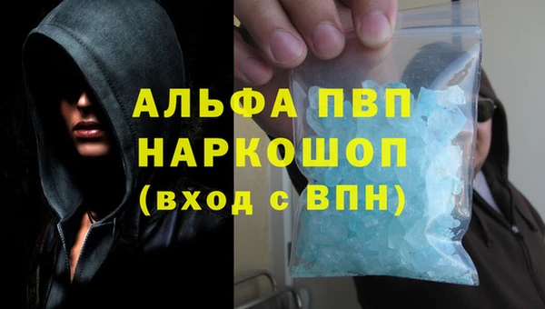 дмт Бородино