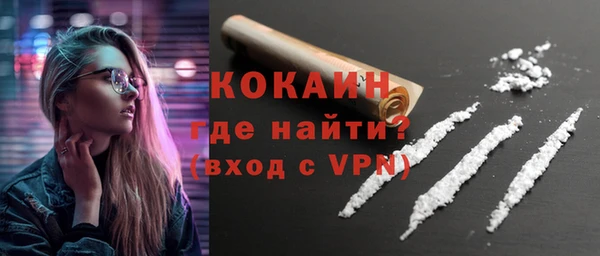 дмт Бородино