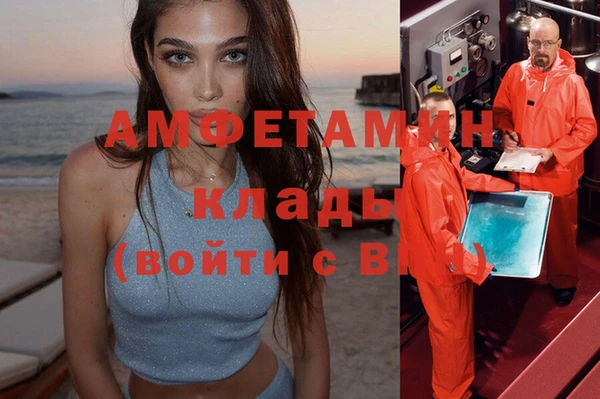 дмт Бородино