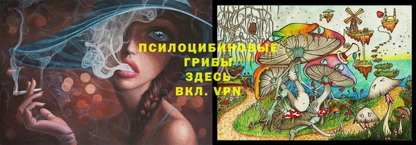 дмт Бородино