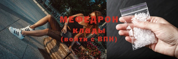 дмт Бородино
